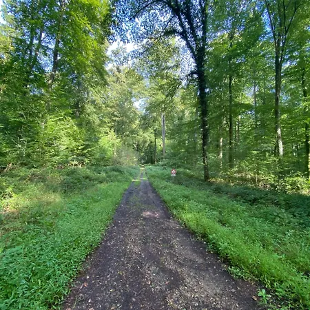 Grandes Molaises Semesterbostad